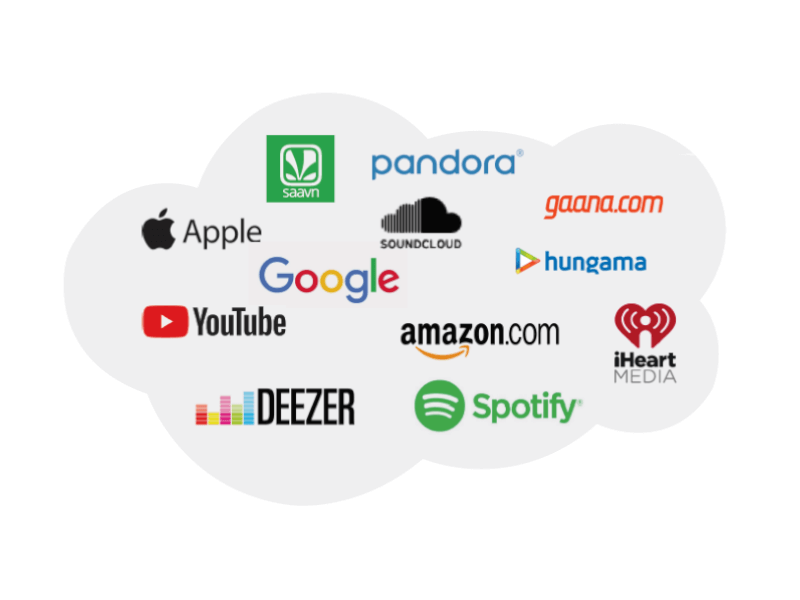 Personal Portfolio Images